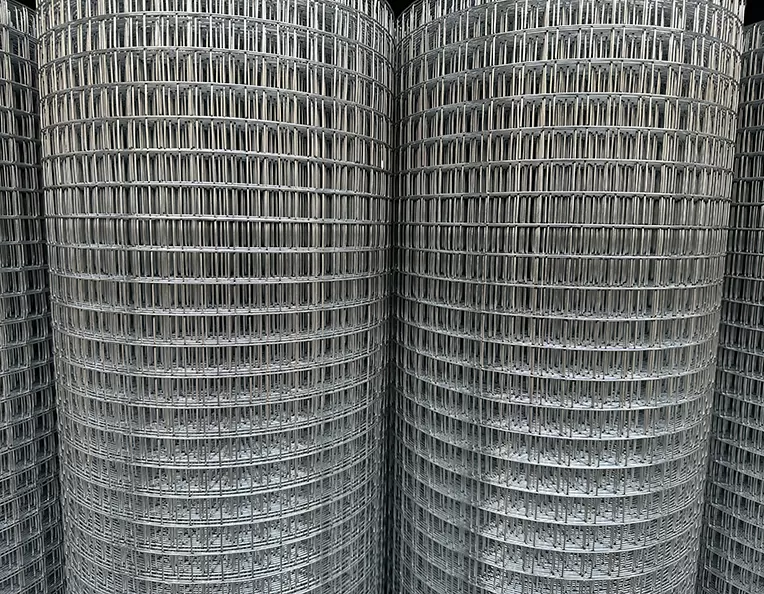 Standard Galvanized Wire Mesh